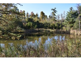 Property photo 36 - LAND AUCTION - 1,682+/- ACRES OFFERED IN 17 TRACTS IN LEWIS & GREENUP COUNTIES, KENTUCKY