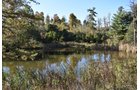 Property photo 36 - LAND AUCTION - 1,682+/- ACRES OFFERED IN 17 TRACTS IN LEWIS & GREENUP COUNTIES, KENTUCKY