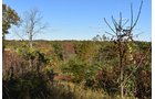 Property photo 34 - LAND AUCTION - 1,682+/- ACRES OFFERED IN 17 TRACTS IN LEWIS & GREENUP COUNTIES, KENTUCKY