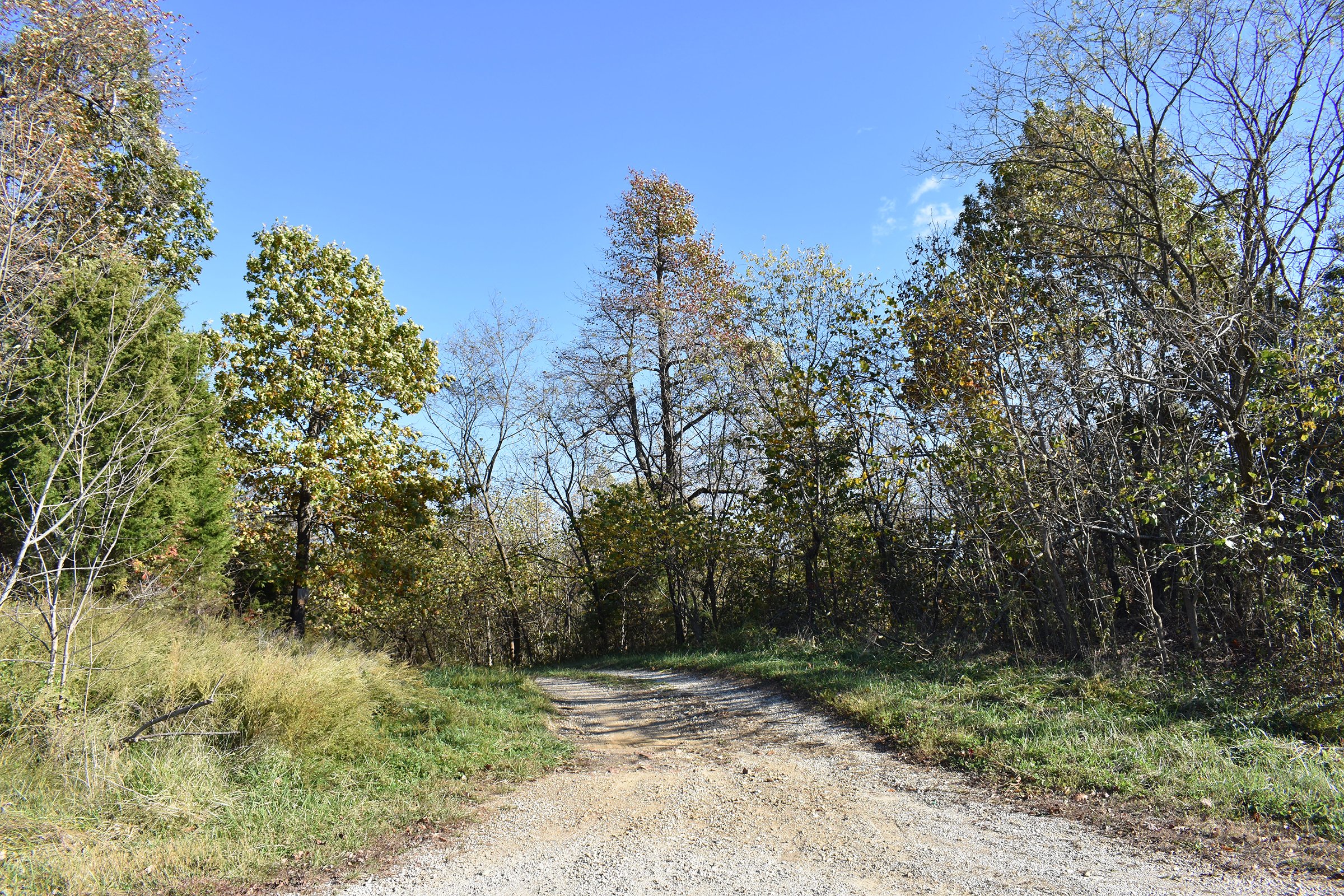 Property photo 31 - LAND AUCTION - 1,682+/- ACRES OFFERED IN 17 TRACTS IN LEWIS & GREENUP COUNTIES, KENTUCKY