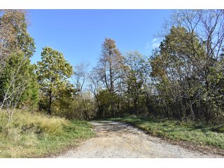 Property photo 31 - LAND AUCTION - 1,682+/- ACRES OFFERED IN 17 TRACTS IN LEWIS & GREENUP COUNTIES, KENTUCKY
