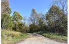 Property photo 31 - LAND AUCTION - 1,682+/- ACRES OFFERED IN 17 TRACTS IN LEWIS & GREENUP COUNTIES, KENTUCKY