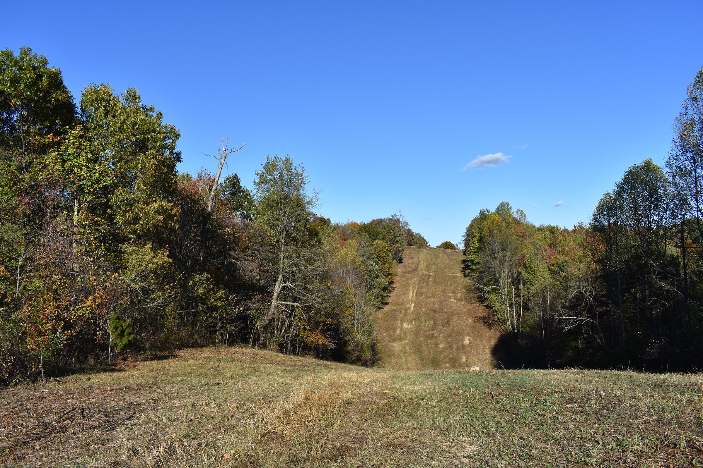 Property photo 32 - LAND AUCTION - 1,682+/- ACRES OFFERED IN 17 TRACTS IN LEWIS & GREENUP COUNTIES, KENTUCKY