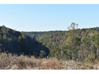 Property photo 33 - LAND AUCTION - 1,682+/- ACRES OFFERED IN 17 TRACTS IN LEWIS & GREENUP COUNTIES, KENTUCKY