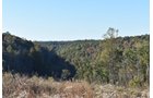 Property photo 33 - LAND AUCTION - 1,682+/- ACRES OFFERED IN 17 TRACTS IN LEWIS & GREENUP COUNTIES, KENTUCKY