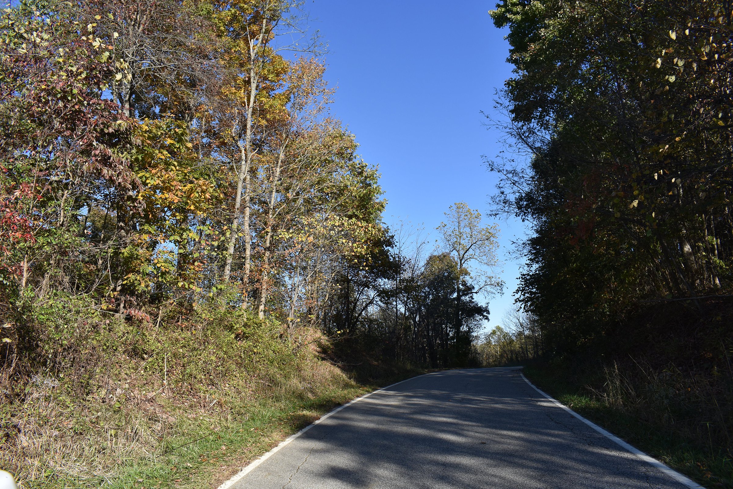 Property photo 30 - LAND AUCTION - 1,682+/- ACRES OFFERED IN 17 TRACTS IN LEWIS & GREENUP COUNTIES, KENTUCKY