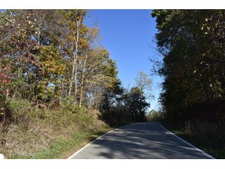 Property photo 30 - LAND AUCTION - 1,682+/- ACRES OFFERED IN 17 TRACTS IN LEWIS & GREENUP COUNTIES, KENTUCKY