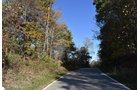 Property photo 30 - LAND AUCTION - 1,682+/- ACRES OFFERED IN 17 TRACTS IN LEWIS & GREENUP COUNTIES, KENTUCKY