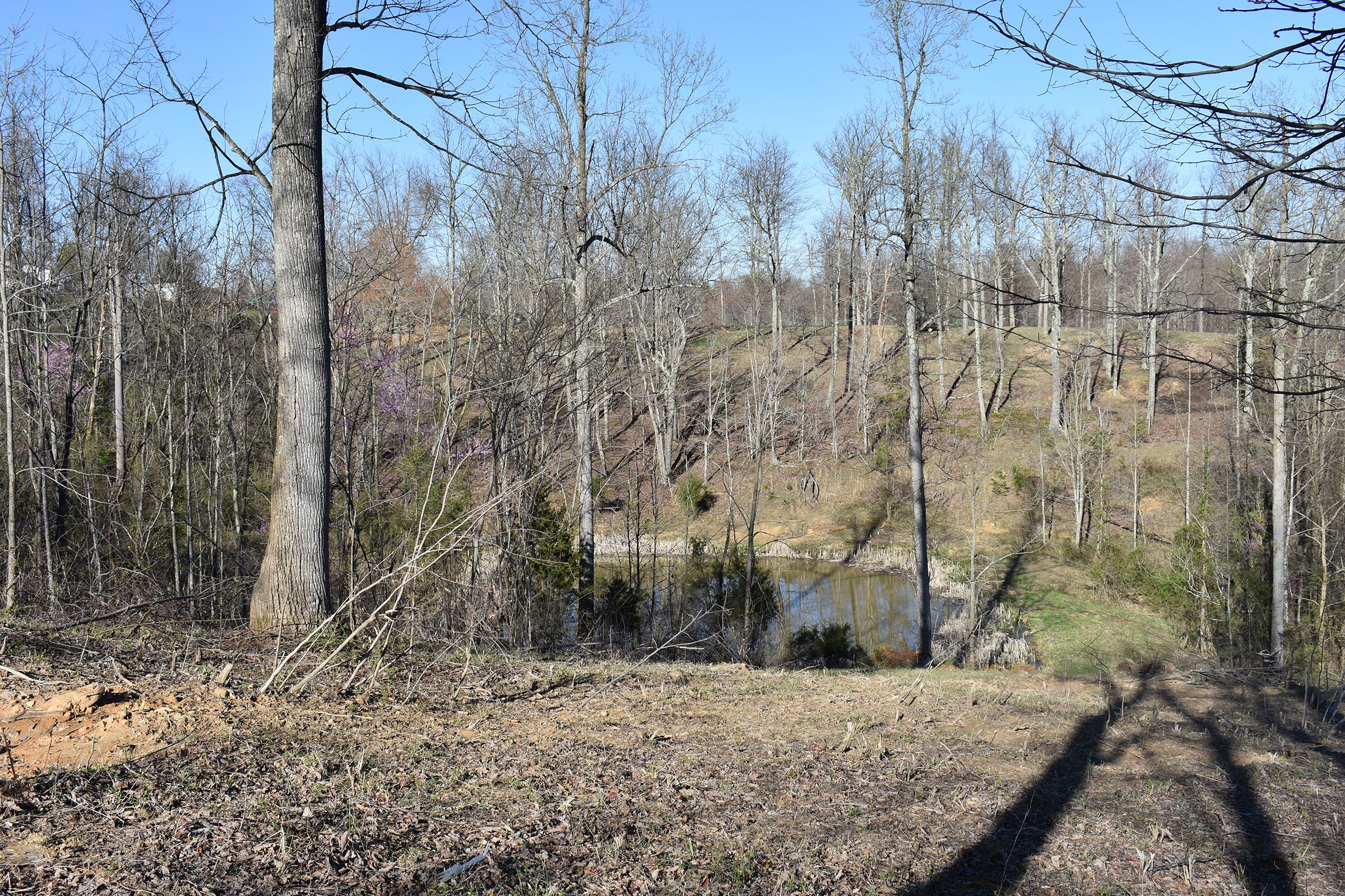 Property photo 38 - LAND AUCTION - 1,682+/- ACRES OFFERED IN 17 TRACTS IN LEWIS & GREENUP COUNTIES, KENTUCKY