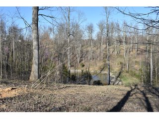 Property photo 38 - LAND AUCTION - 1,682+/- ACRES OFFERED IN 17 TRACTS IN LEWIS & GREENUP COUNTIES, KENTUCKY
