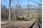Property photo 38 - LAND AUCTION - 1,682+/- ACRES OFFERED IN 17 TRACTS IN LEWIS & GREENUP COUNTIES, KENTUCKY