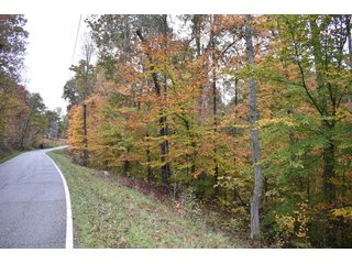Property photo 29 - LAND AUCTION - 1,682+/- ACRES OFFERED IN 17 TRACTS IN LEWIS & GREENUP COUNTIES, KENTUCKY