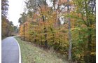 Property photo 29 - LAND AUCTION - 1,682+/- ACRES OFFERED IN 17 TRACTS IN LEWIS & GREENUP COUNTIES, KENTUCKY