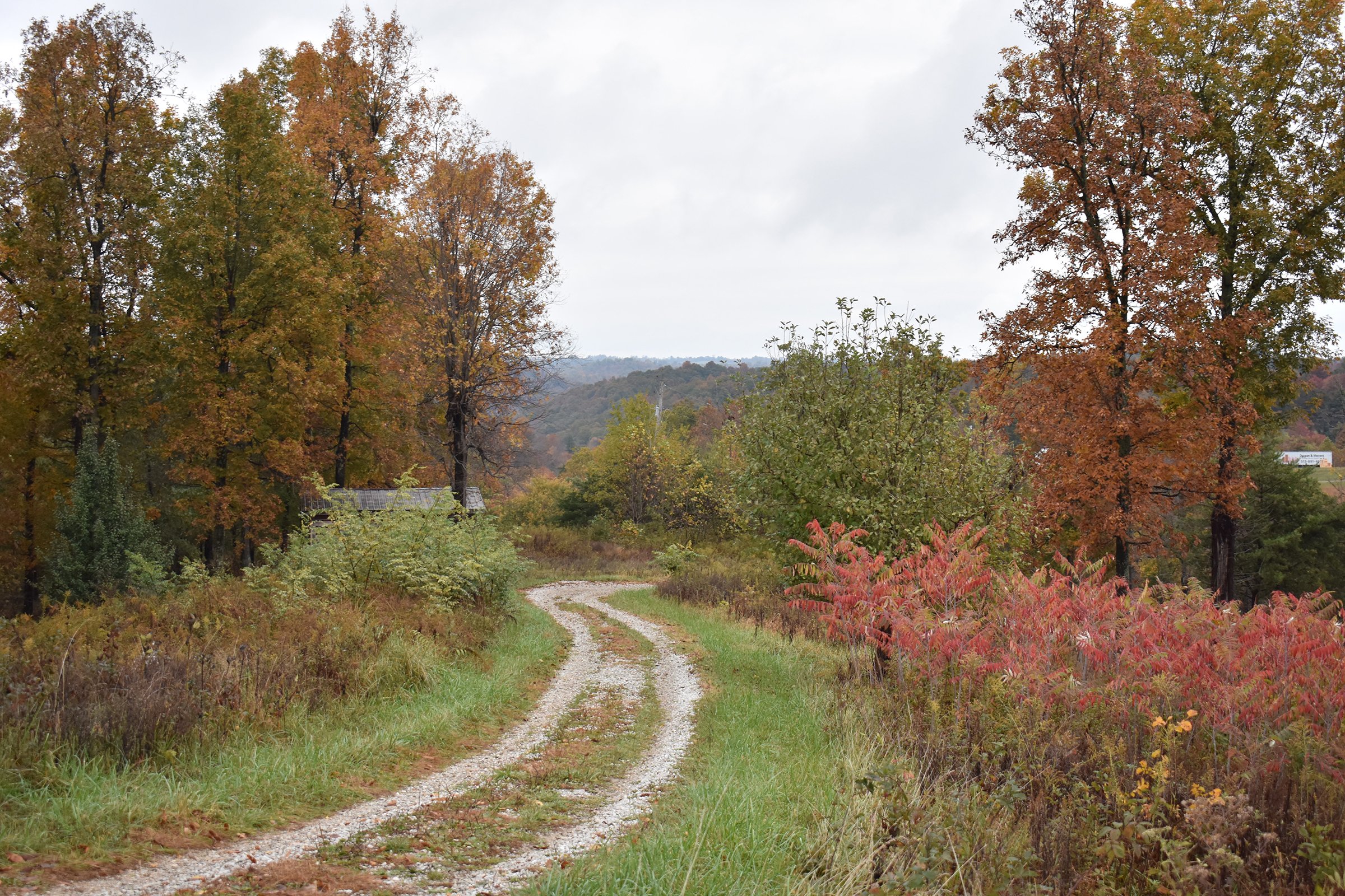 Property photo 46 - LAND AUCTION - 1,682+/- ACRES OFFERED IN 17 TRACTS IN LEWIS & GREENUP COUNTIES, KENTUCKY