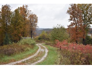 Property photo 46 - LAND AUCTION - 1,682+/- ACRES OFFERED IN 17 TRACTS IN LEWIS & GREENUP COUNTIES, KENTUCKY