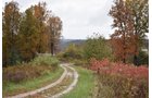 Property photo 46 - LAND AUCTION - 1,682+/- ACRES OFFERED IN 17 TRACTS IN LEWIS & GREENUP COUNTIES, KENTUCKY