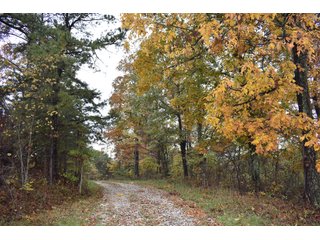 Property photo 40 - LAND AUCTION - 1,682+/- ACRES OFFERED IN 17 TRACTS IN LEWIS & GREENUP COUNTIES, KENTUCKY