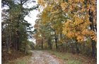 Property photo 40 - LAND AUCTION - 1,682+/- ACRES OFFERED IN 17 TRACTS IN LEWIS & GREENUP COUNTIES, KENTUCKY
