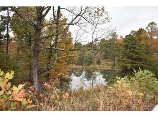 Property photo 48 - LAND AUCTION - 1,682+/- ACRES OFFERED IN 17 TRACTS IN LEWIS & GREENUP COUNTIES, KENTUCKY