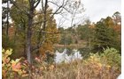 Property photo 48 - LAND AUCTION - 1,682+/- ACRES OFFERED IN 17 TRACTS IN LEWIS & GREENUP COUNTIES, KENTUCKY
