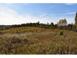 Property photo 47 - LAND AUCTION - 1,682+/- ACRES OFFERED IN 17 TRACTS IN LEWIS & GREENUP COUNTIES, KENTUCKY