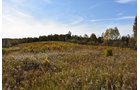 Property photo 47 - LAND AUCTION - 1,682+/- ACRES OFFERED IN 17 TRACTS IN LEWIS & GREENUP COUNTIES, KENTUCKY