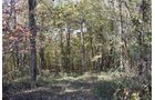 Property photo 39 - LAND AUCTION - 1,682+/- ACRES OFFERED IN 17 TRACTS IN LEWIS & GREENUP COUNTIES, KENTUCKY