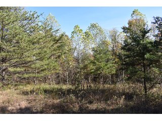 Property photo 42 - LAND AUCTION - 1,682+/- ACRES OFFERED IN 17 TRACTS IN LEWIS & GREENUP COUNTIES, KENTUCKY