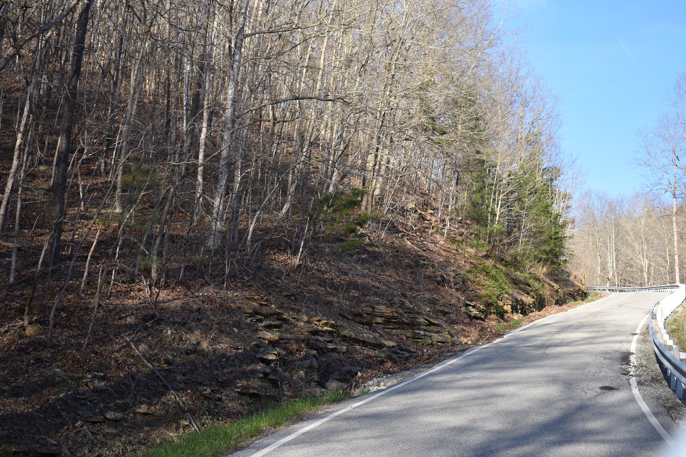 Property photo 45 - LAND AUCTION - 1,682+/- ACRES OFFERED IN 17 TRACTS IN LEWIS & GREENUP COUNTIES, KENTUCKY
