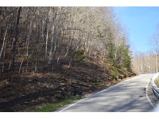 Property photo 45 - LAND AUCTION - 1,682+/- ACRES OFFERED IN 17 TRACTS IN LEWIS & GREENUP COUNTIES, KENTUCKY