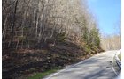 Property photo 45 - LAND AUCTION - 1,682+/- ACRES OFFERED IN 17 TRACTS IN LEWIS & GREENUP COUNTIES, KENTUCKY