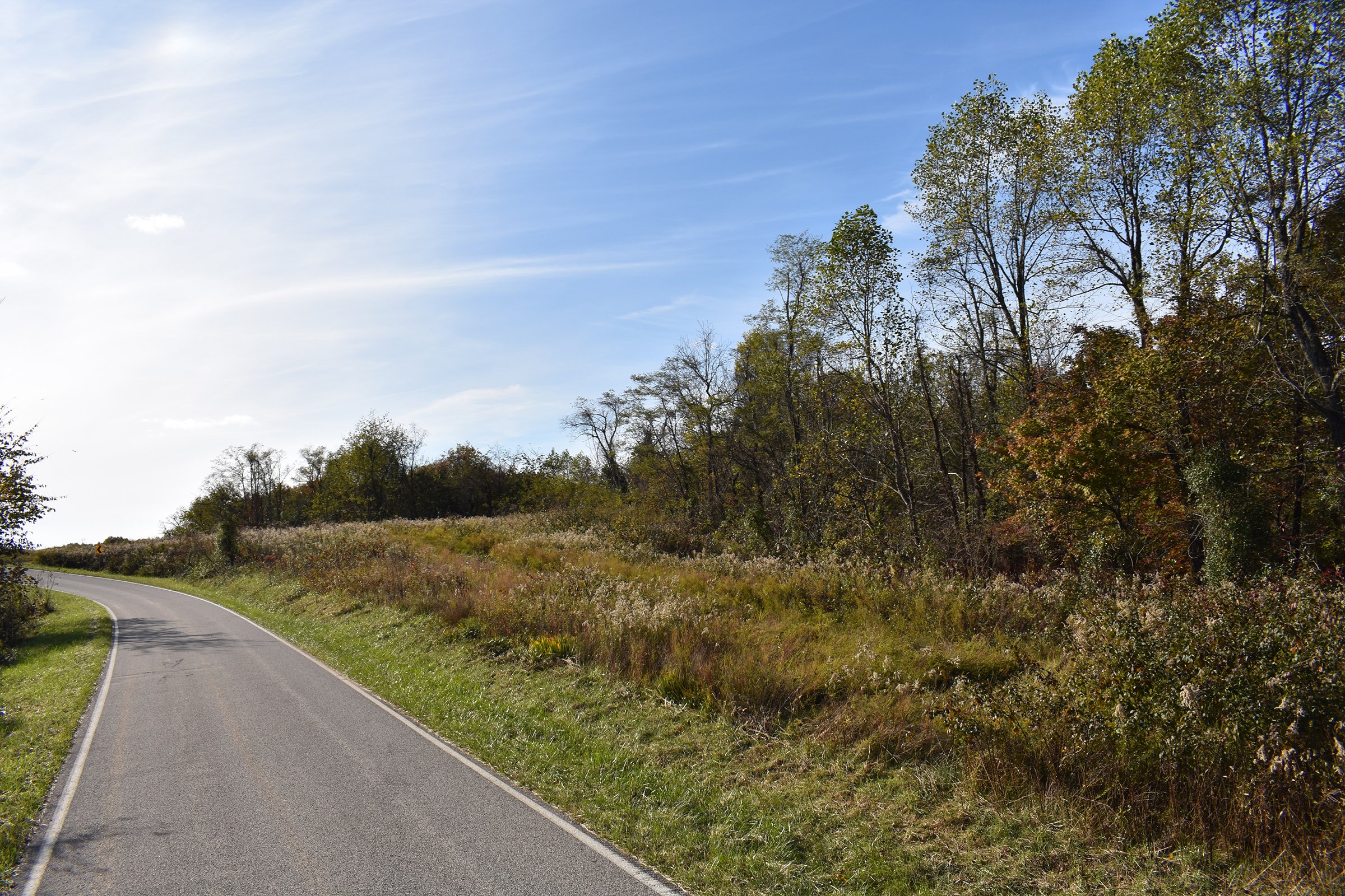 Property photo 43 - LAND AUCTION - 1,682+/- ACRES OFFERED IN 17 TRACTS IN LEWIS & GREENUP COUNTIES, KENTUCKY