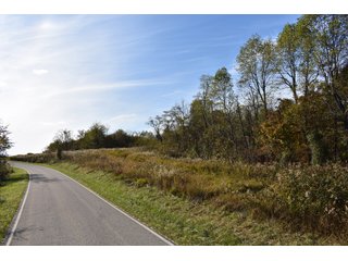 Property photo 43 - LAND AUCTION - 1,682+/- ACRES OFFERED IN 17 TRACTS IN LEWIS & GREENUP COUNTIES, KENTUCKY