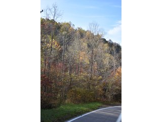 Property photo 49 - LAND AUCTION - 1,682+/- ACRES OFFERED IN 17 TRACTS IN LEWIS & GREENUP COUNTIES, KENTUCKY