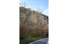 Property photo 49 - LAND AUCTION - 1,682+/- ACRES OFFERED IN 17 TRACTS IN LEWIS & GREENUP COUNTIES, KENTUCKY