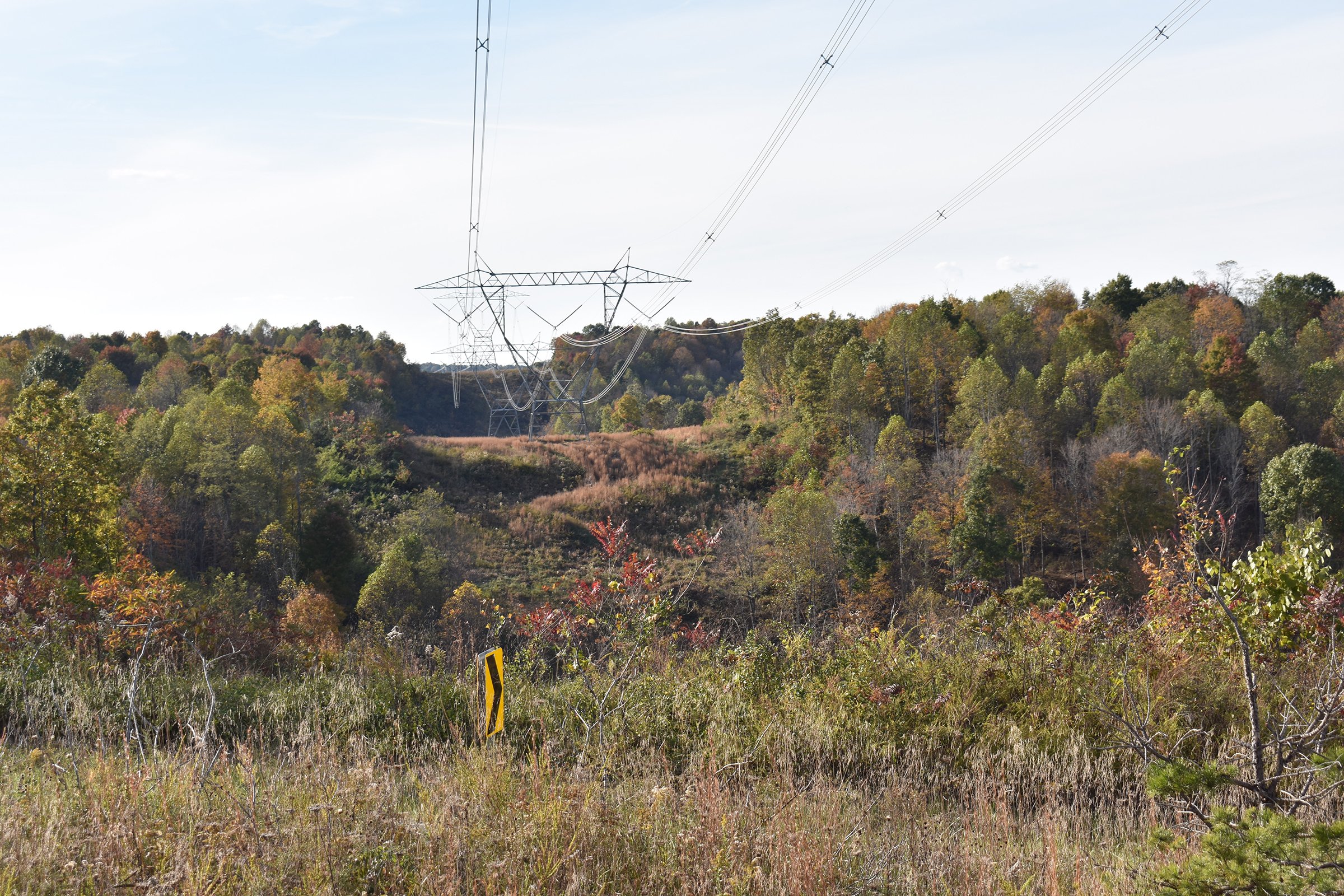 Property photo 59 - LAND AUCTION - 1,682+/- ACRES OFFERED IN 17 TRACTS IN LEWIS & GREENUP COUNTIES, KENTUCKY