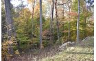 Property photo 58 - LAND AUCTION - 1,682+/- ACRES OFFERED IN 17 TRACTS IN LEWIS & GREENUP COUNTIES, KENTUCKY