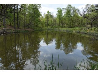 Property photo 63 - LAND AUCTION - 1,682+/- ACRES OFFERED IN 17 TRACTS IN LEWIS & GREENUP COUNTIES, KENTUCKY