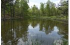 Property photo 63 - LAND AUCTION - 1,682+/- ACRES OFFERED IN 17 TRACTS IN LEWIS & GREENUP COUNTIES, KENTUCKY