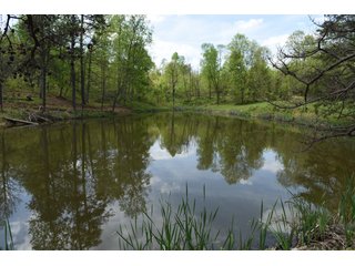 Property photo 71 - LAND AUCTION - 1,682+/- ACRES OFFERED IN 17 TRACTS IN LEWIS & GREENUP COUNTIES, KENTUCKY