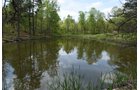 Property photo 71 - LAND AUCTION - 1,682+/- ACRES OFFERED IN 17 TRACTS IN LEWIS & GREENUP COUNTIES, KENTUCKY