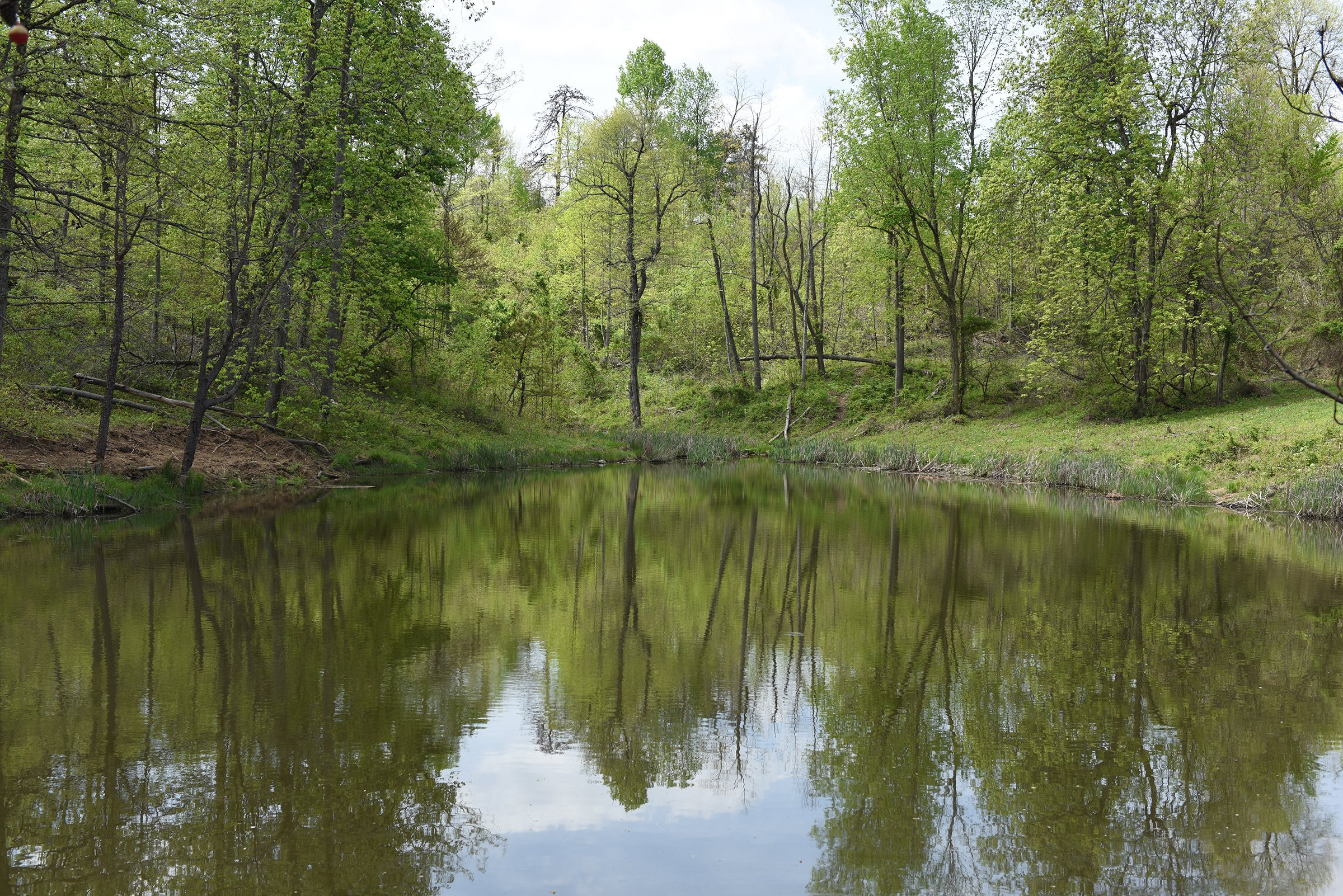Property photo 65 - LAND AUCTION - 1,682+/- ACRES OFFERED IN 17 TRACTS IN LEWIS & GREENUP COUNTIES, KENTUCKY