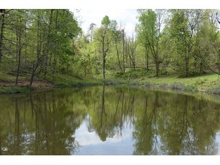 Property photo 65 - LAND AUCTION - 1,682+/- ACRES OFFERED IN 17 TRACTS IN LEWIS & GREENUP COUNTIES, KENTUCKY