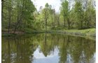 Property photo 65 - LAND AUCTION - 1,682+/- ACRES OFFERED IN 17 TRACTS IN LEWIS & GREENUP COUNTIES, KENTUCKY