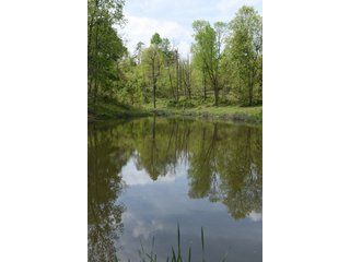 Property photo 67 - LAND AUCTION - 1,682+/- ACRES OFFERED IN 17 TRACTS IN LEWIS & GREENUP COUNTIES, KENTUCKY