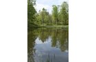 Property photo 67 - LAND AUCTION - 1,682+/- ACRES OFFERED IN 17 TRACTS IN LEWIS & GREENUP COUNTIES, KENTUCKY
