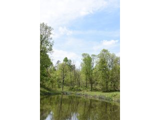 Property photo 70 - LAND AUCTION - 1,682+/- ACRES OFFERED IN 17 TRACTS IN LEWIS & GREENUP COUNTIES, KENTUCKY