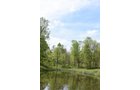Property photo 70 - LAND AUCTION - 1,682+/- ACRES OFFERED IN 17 TRACTS IN LEWIS & GREENUP COUNTIES, KENTUCKY