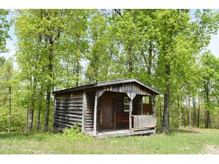 Property photo 52 - LAND AUCTION - 1,682+/- ACRES OFFERED IN 17 TRACTS IN LEWIS & GREENUP COUNTIES, KENTUCKY