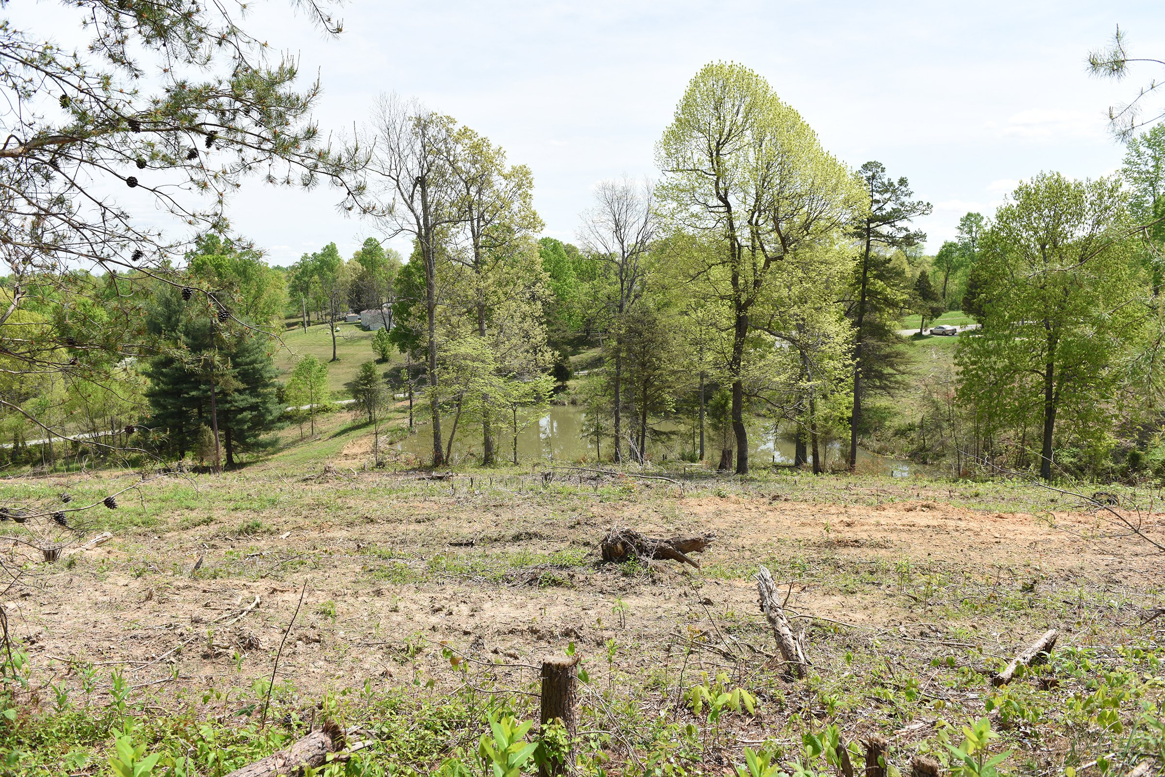 Property photo 61 - LAND AUCTION - 1,682+/- ACRES OFFERED IN 17 TRACTS IN LEWIS & GREENUP COUNTIES, KENTUCKY